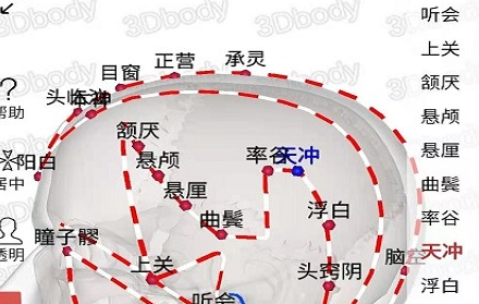 3Dbody经络穴位
