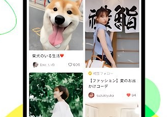 1685692570473793.png image.png