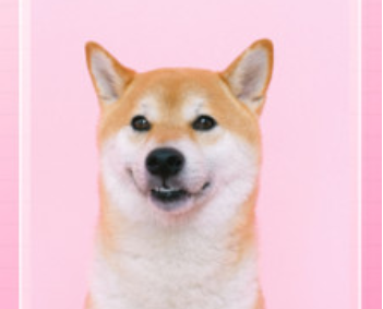 1729826573926922.png image.png