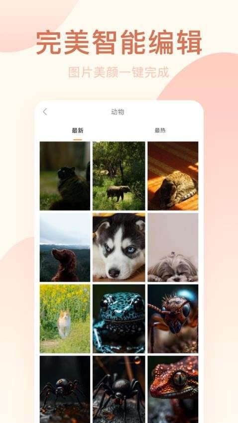 趣相机无会员
